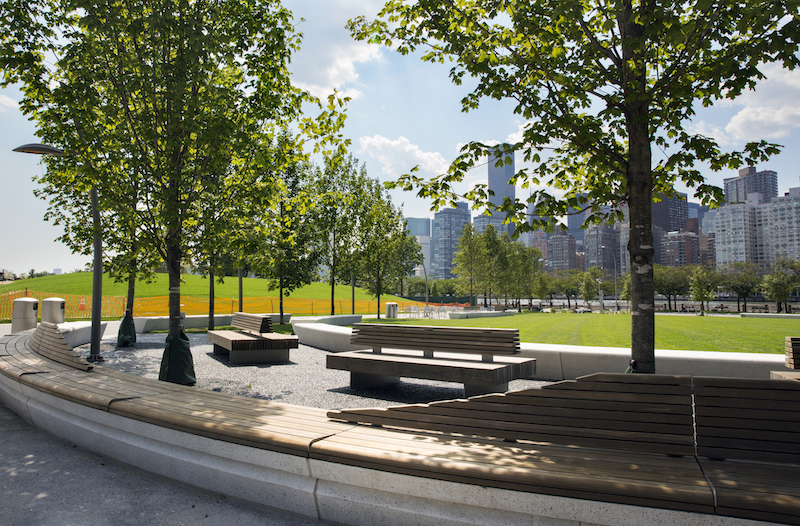 Cornell Tech campus green space