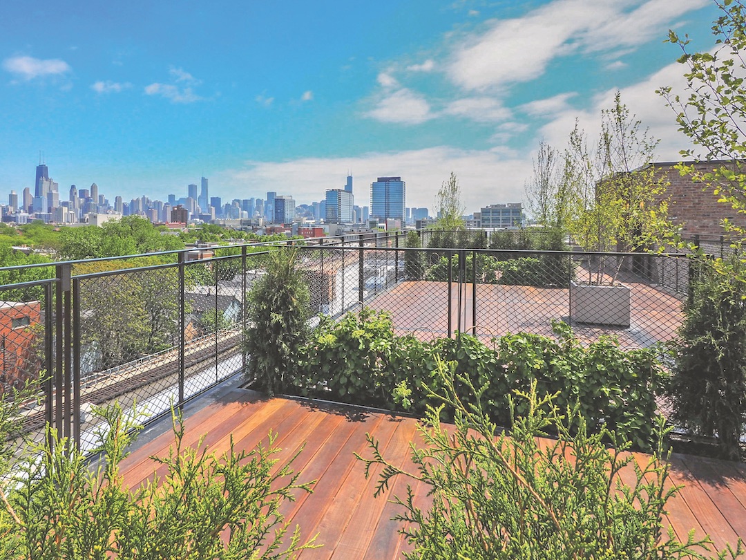 View from the rooftop deck