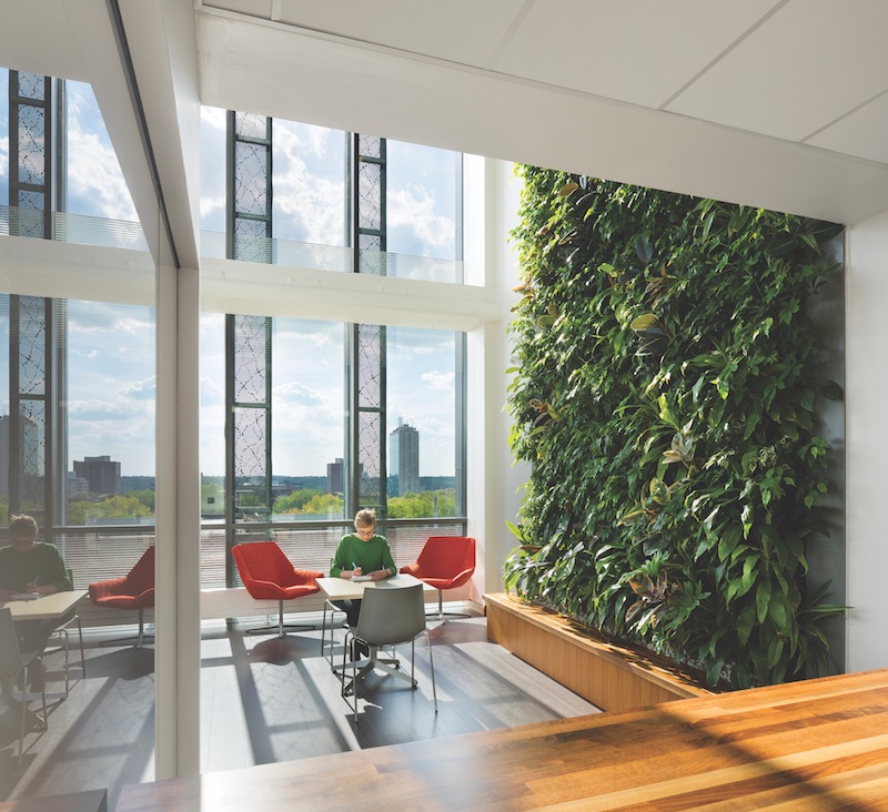 Weiser Hall interior living wall