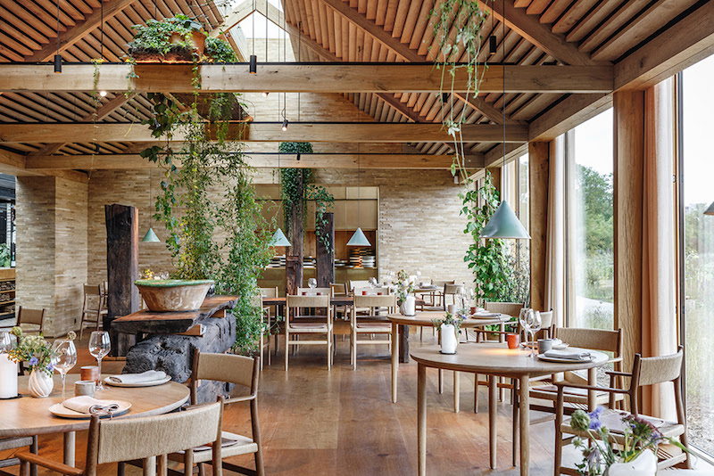 noma dining room