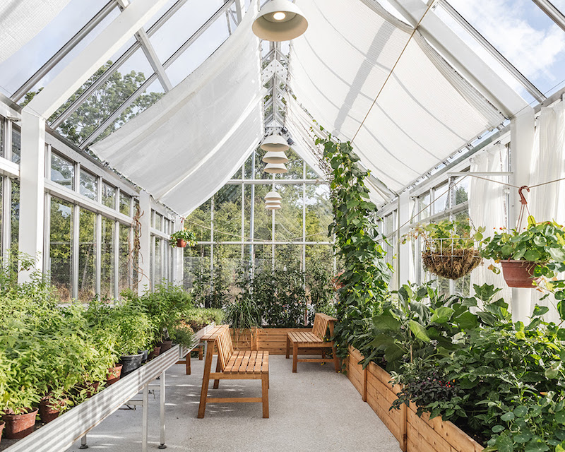 greenhouse